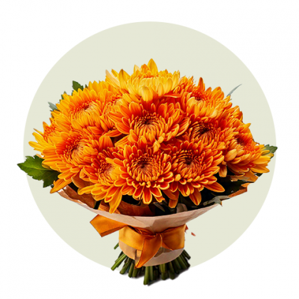 Chrysanthemum